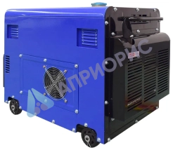 Сварочный генератор TSS DGW 7.0/250EDS-R